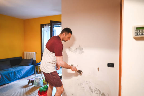 Best Post-Remediation Services in Evansville, WI